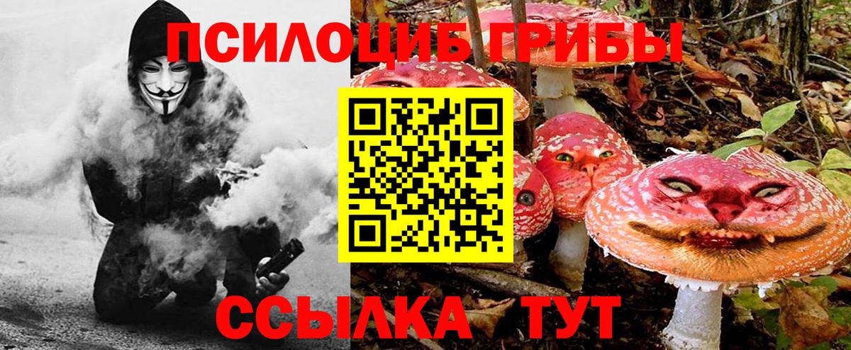 Галлюциногенные грибы мухоморы  Вход с VPN  Псилоцибиновые грибы Psilocybe  Дмитров 