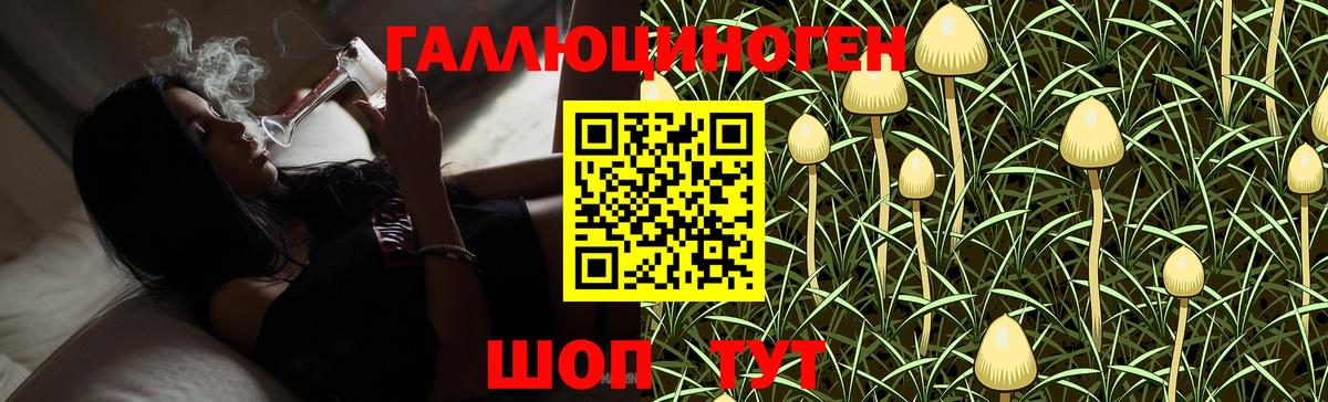 Галлюциногенные грибы Magic Shrooms Дмитров