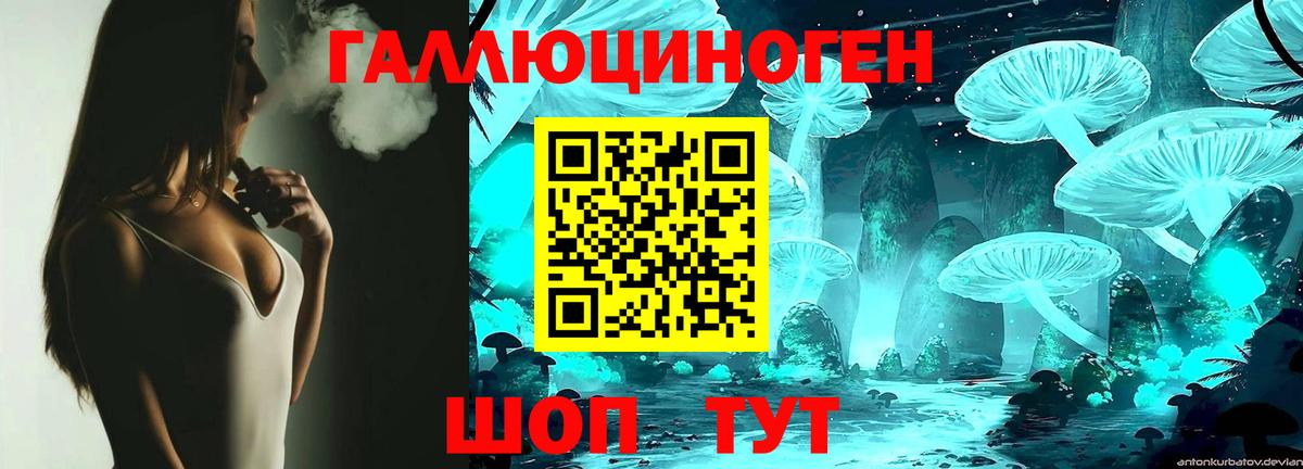 APVP Дмитров